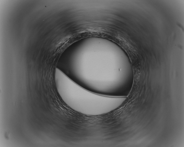 X0000098111110200804040755