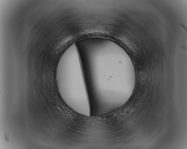 X0000098111111200804040755