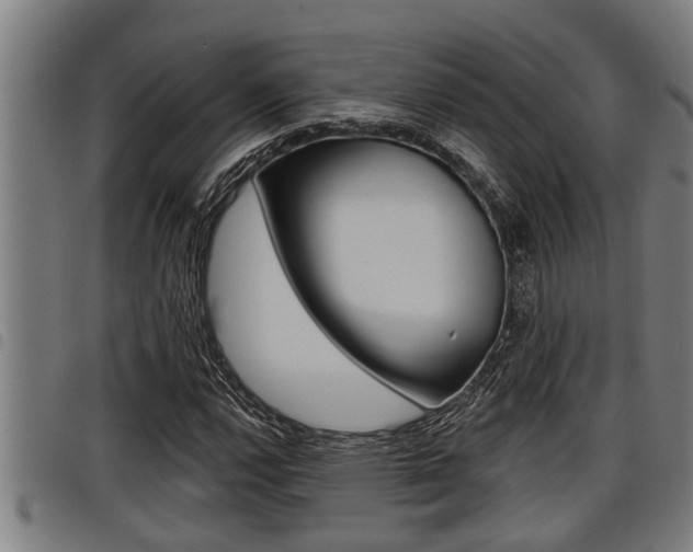 X0000098111112200804040755