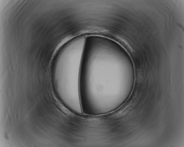 X0000098111114200804040755