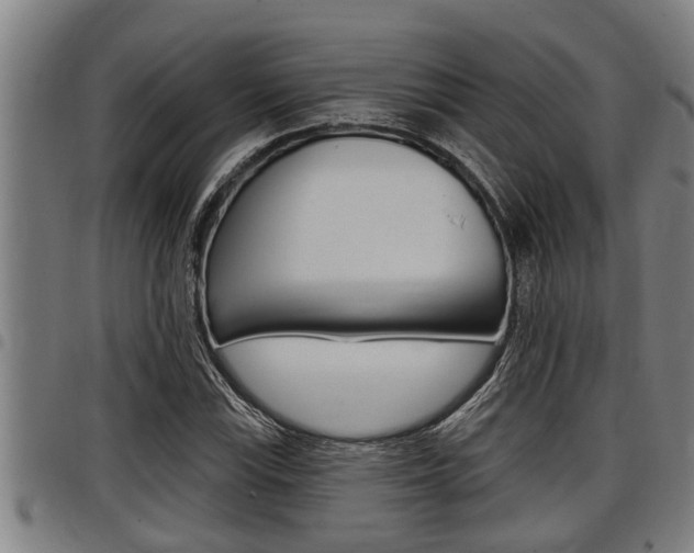 X0000098111115200804040755