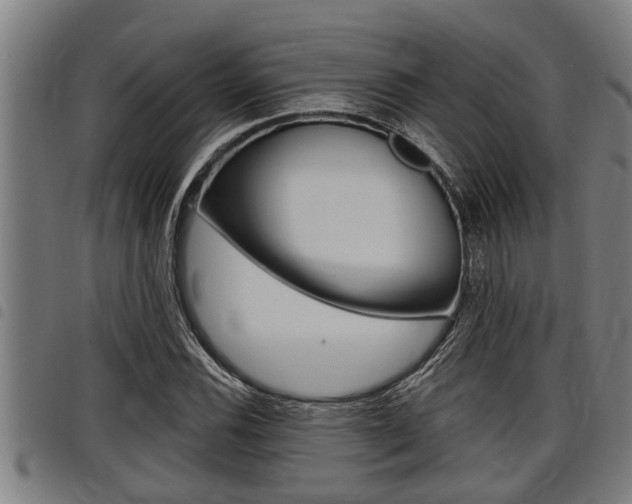 X0000098111116200804040755