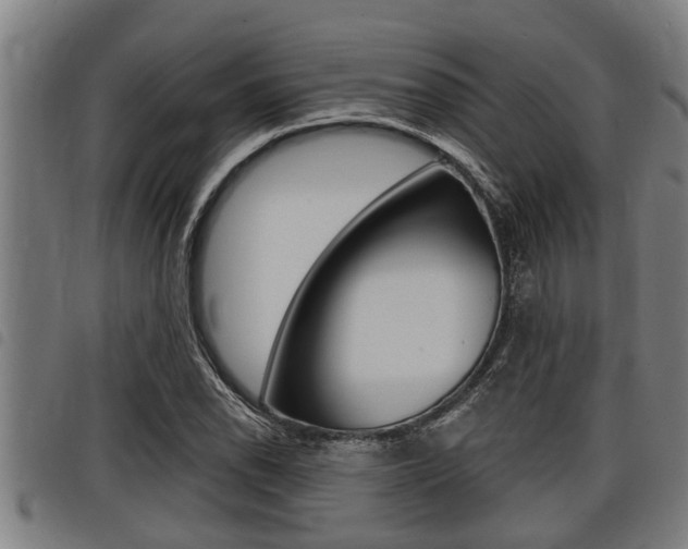 X0000098111118200804040755
