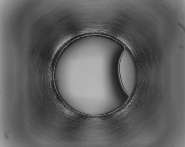 X0000098111119200804040755
