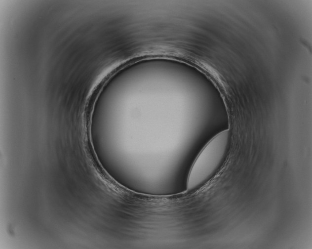 X0000098111120200804040755