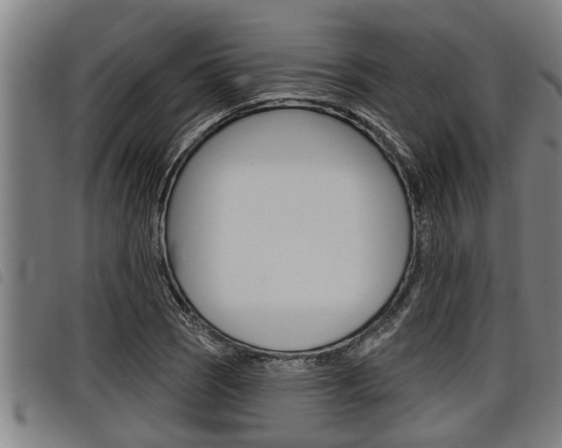 X0000098111121200804040755