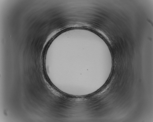 X0000098111122200804040755