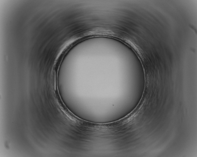 X0000098111123200804040755