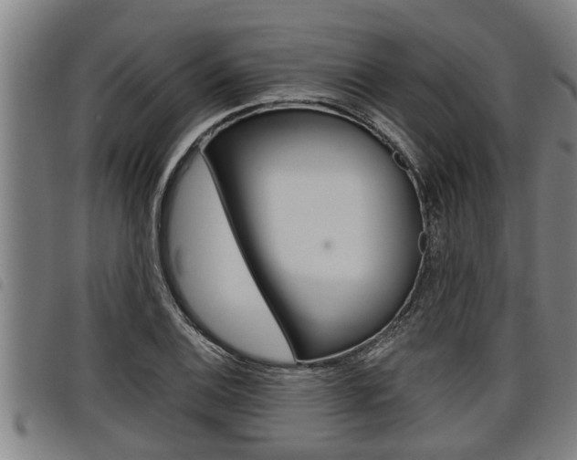 X0000098111124200804040755