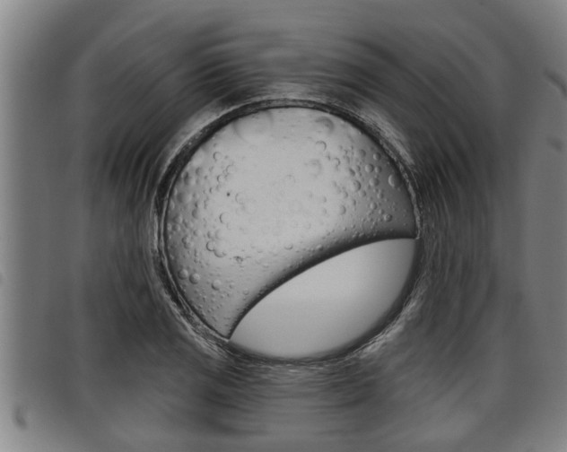 X0000098111125200804040755