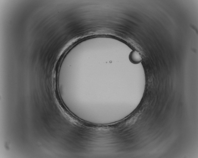 X0000098111126200804040755