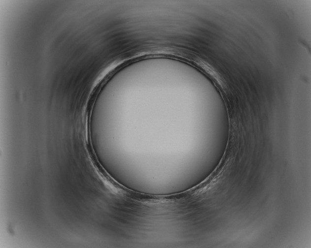 X0000098111127200804040755
