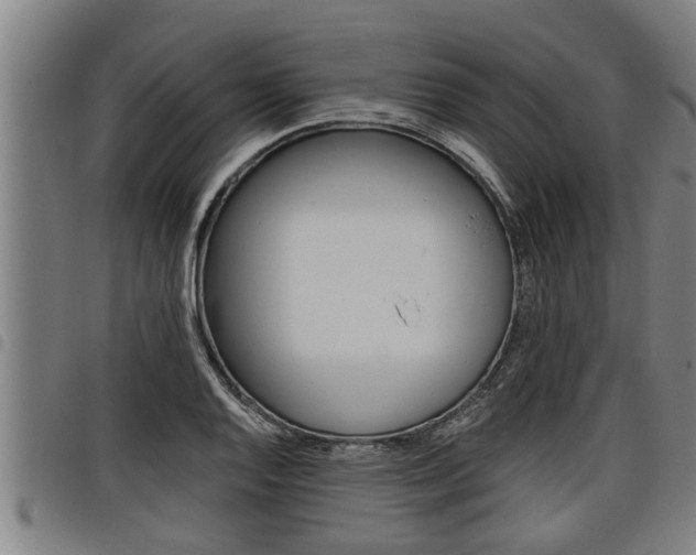 X0000098111128200804040755