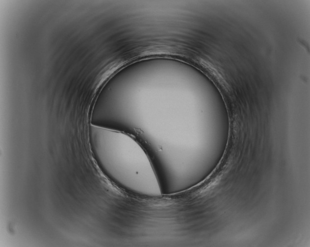 X0000098111129200804040755