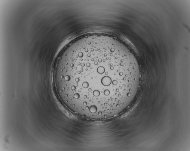 X0000098111130200804040755