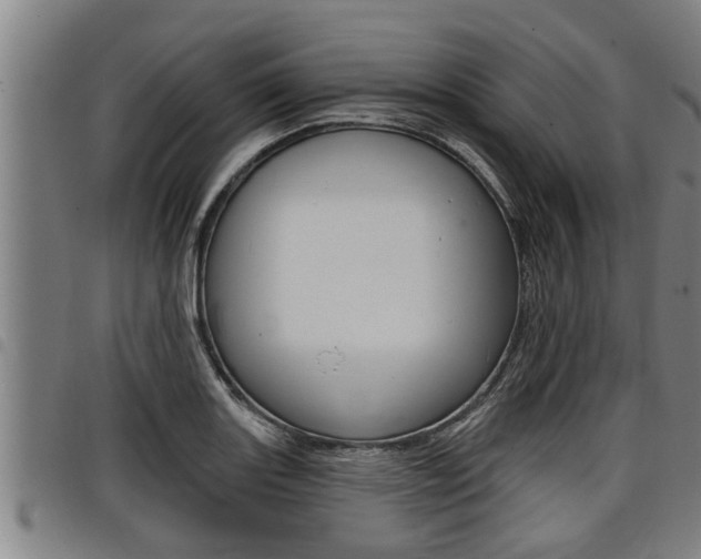 X0000098111131200804040755
