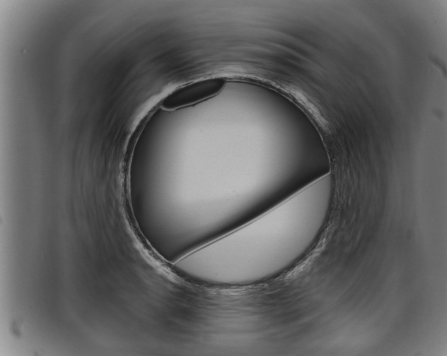 X0000098111134200804040755