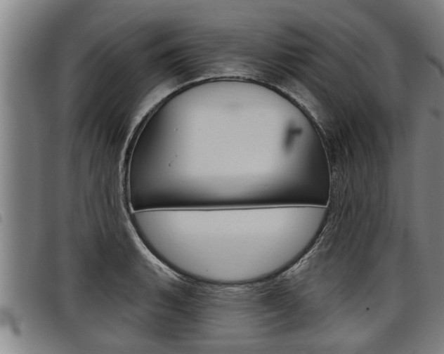 X0000098111135200804040755