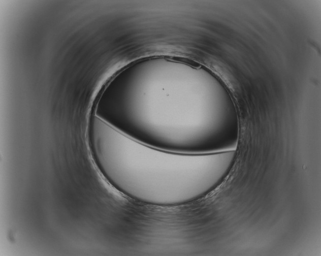 X0000098111136200804040755