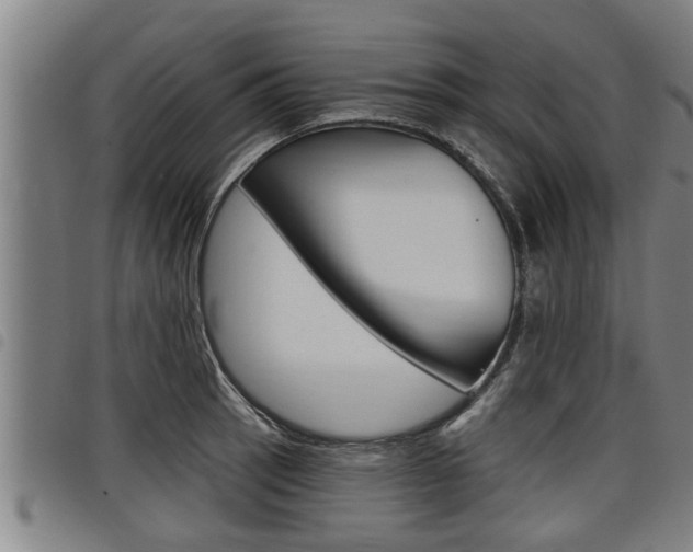 X0000098111137200804040755
