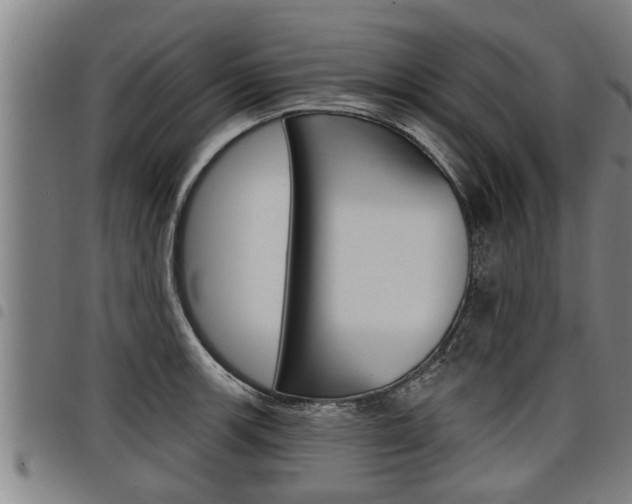 X0000098111139200804040755
