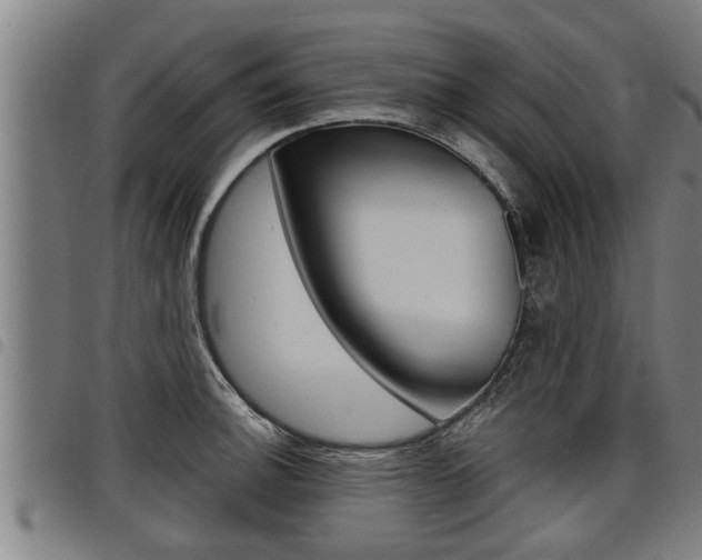 X0000098111140200804040755