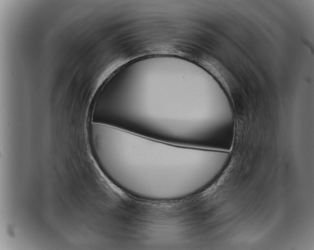 X0000098111141200804040755