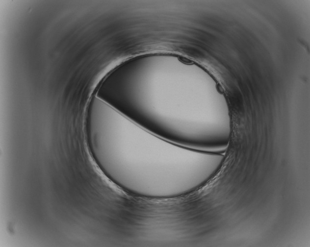 X0000098111142200804040755