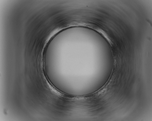 X0000098111143200804040755