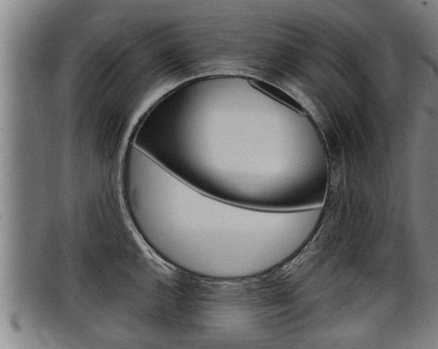 X0000098111144200804040755