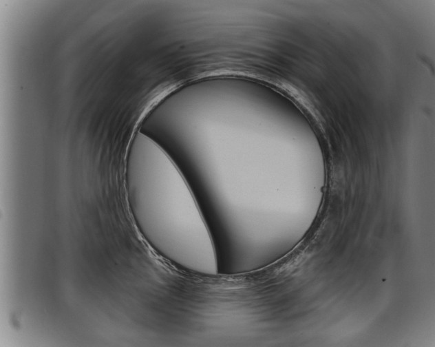 X0000098111145200804040755