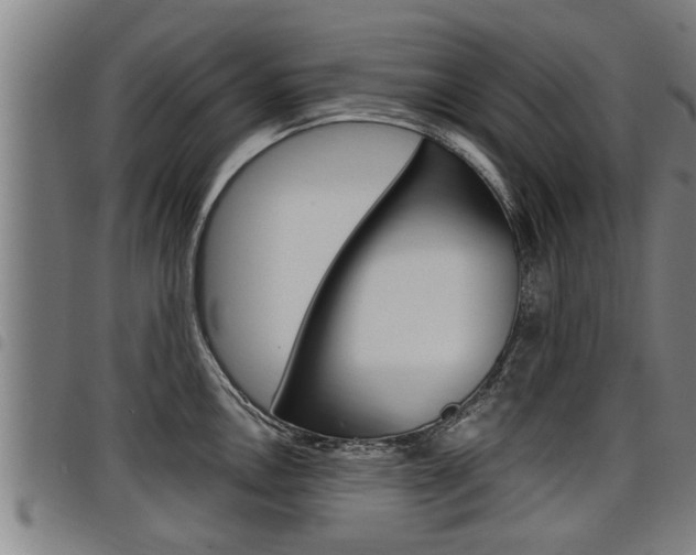 X0000098111146200804040755