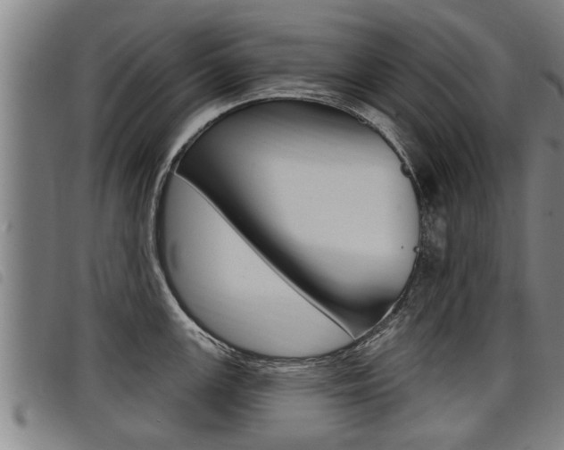 X0000098111147200804040755