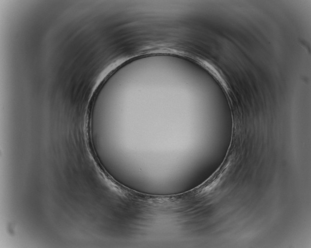 X0000098111149200804040755