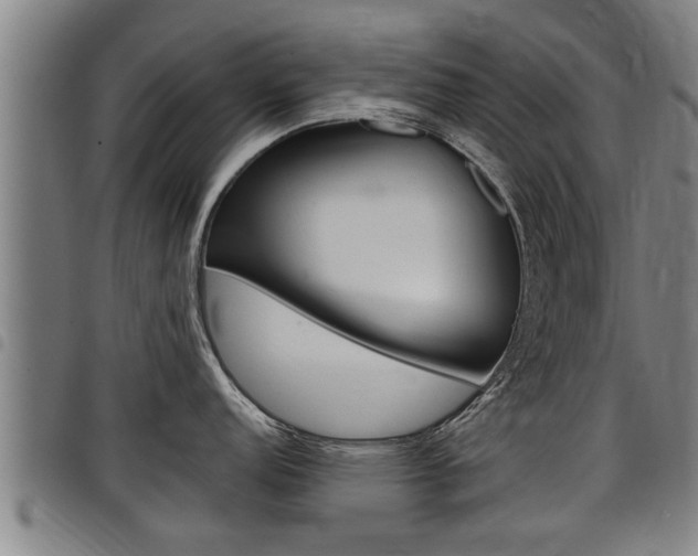 X0000098111152200804040756