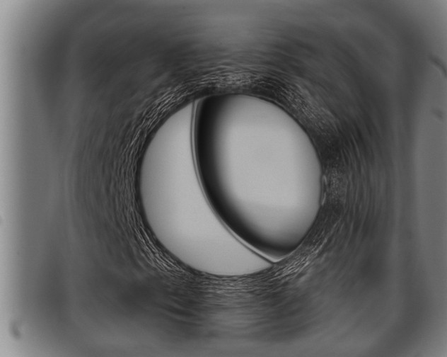 X0000098111153200804040755
