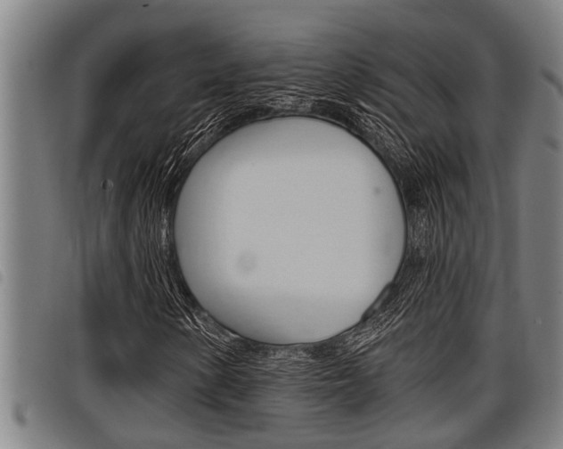 X0000098111154200804040755