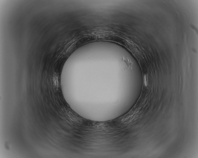 X0000098111155200804040755