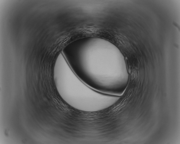 X0000098111156200804040755