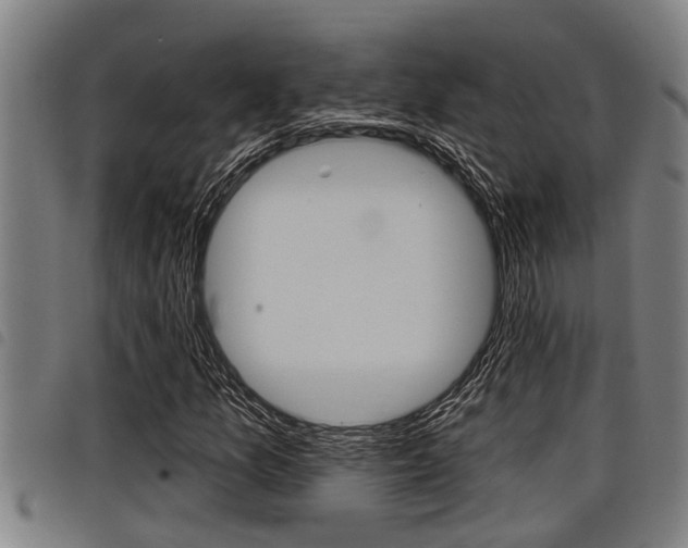 X0000098111157200804040755