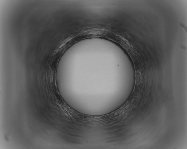 X0000098111158200804040755