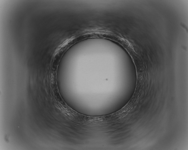X0000098111159200804040755