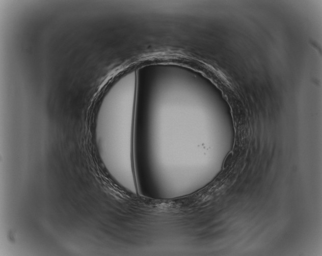 X0000098111160200804040755