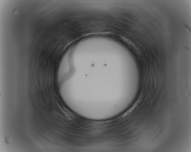 X0000098111161200804040755