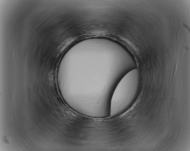 X0000098111162200804040755