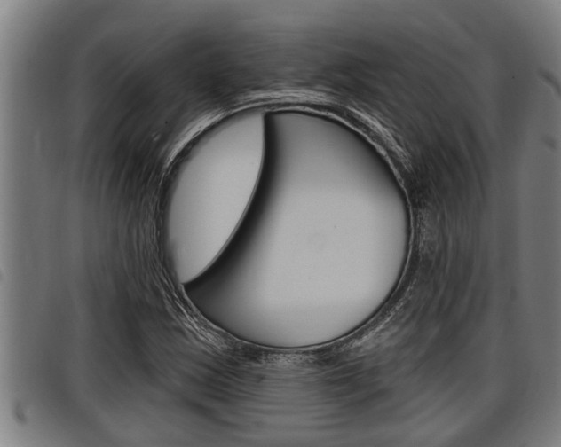 X0000098111163200804040755