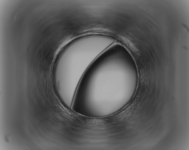 X0000098111164200804040755