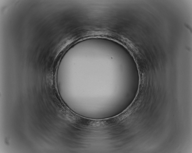 X0000098111165200804040755