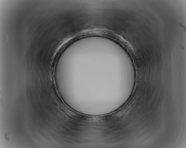 X0000098111166200804040755