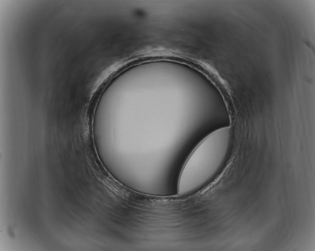 X0000098111167200804040755
